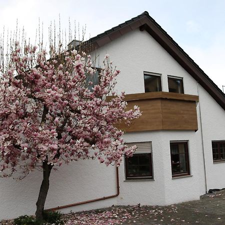 Ferienwohnung In Bempflingen エクステリア 写真
