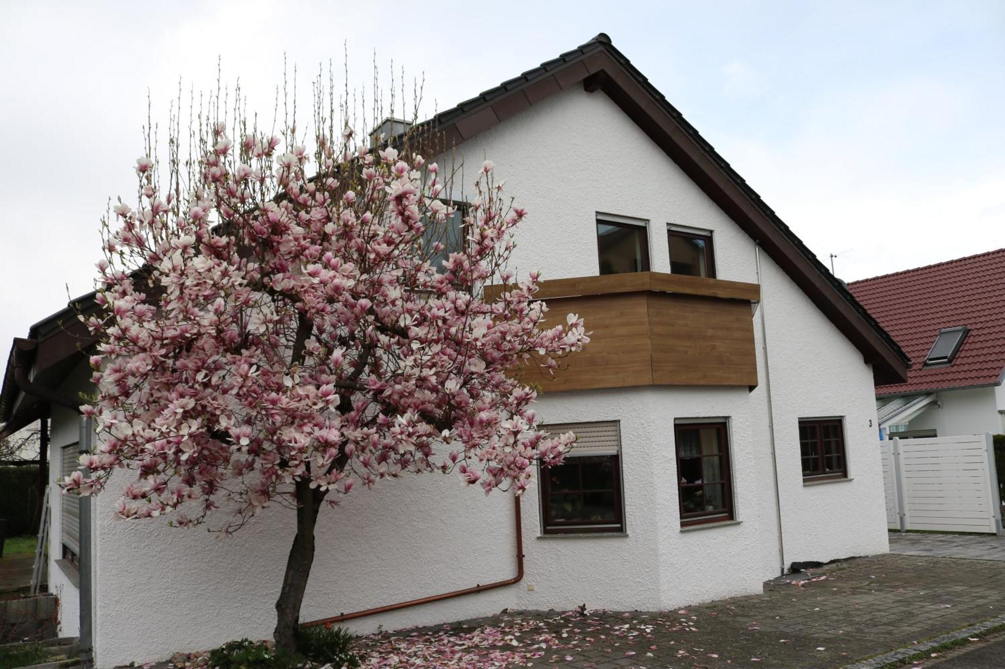Ferienwohnung In Bempflingen エクステリア 写真